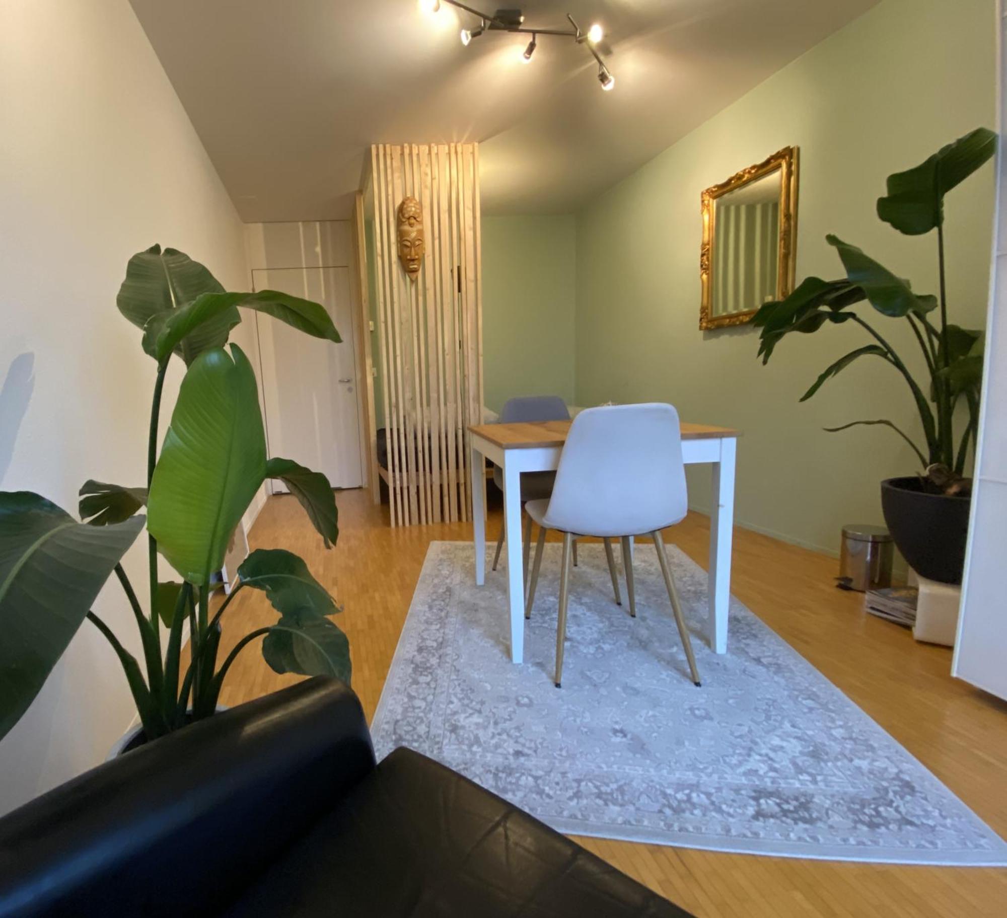 Limmatspitz Homestay Gebenstorf
